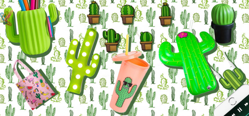 cactus mania